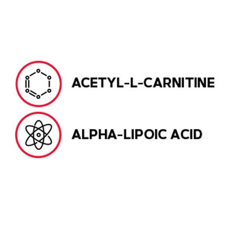 Ala acetil L-carnitina 500 mg si acid alfa lipoic 200 mg (60 tb), GNC Live Well