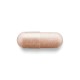 Herbal plus extract din seminte de struguri (100 Cps), GNC Live Well