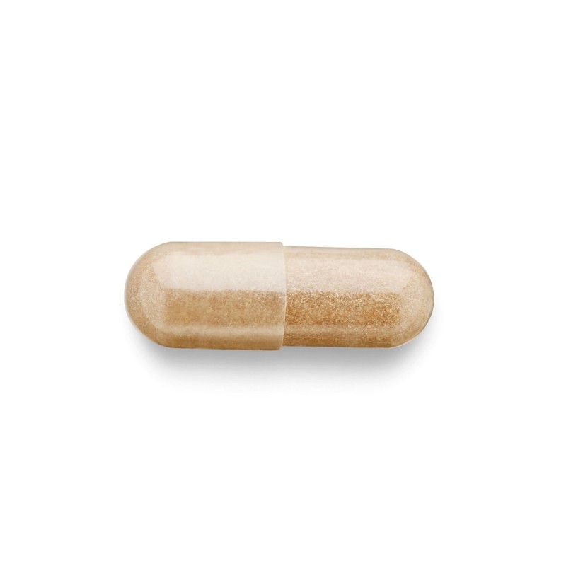 Herbal plus extract de rodiola (100 cps), GNC Live Well