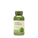 Gnc Herbal Plus Ginkgo Biloba 60 Mg, 100 Cps Gnc Herbal Plus Ginkgo Biloba 60 Mg, 100 Cps