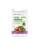 Gnc Superfoods Vital Greens Daily Superfoods Powder, Pudra Cu Super Alimente Verzi Cu Aroma De Fructe De Padure, 424.8 G Gnc Superfoods Vital Greens Daily Superfoods Powder, Pudra Cu Super Alimente Verzi Cu Aroma De Fructe De Padure, 424.8 G
