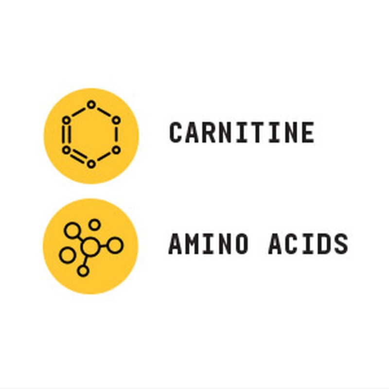 Beyond raw chemistry labs L-carnitina (90 g), GNC Live Well