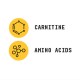Beyond raw chemistry labs L-carnitina (90 g), GNC Live Well