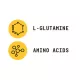 Beyond Raw Chemistry Labs L-glutamine, L-glutamina, 152.4 G Beyond Raw Chemistry Labs L-glutamine, L-glutamina, 152.4 G