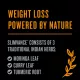 Gnc Bodydynamix Slimvance Core Slimming Complex Stimulant Free, Formula Pentru Controlul Greutatii, 60 Cps