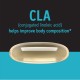 Gnc Total Lean Cla, Acid Linoleic Conjugat, 180 Cps