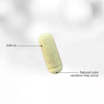 Codeage Liposomal Vitamin C, Vitamina C Liposomala - Formula Avansata Pentru Absorbtie Superioara, 90 Cps