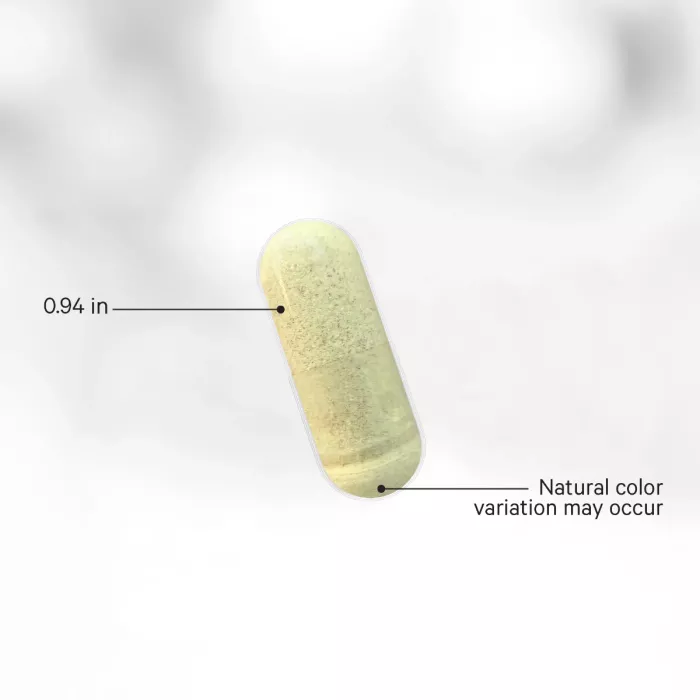 Codeage Liposomal Vitamin C, Vitamina C Liposomala - Formula Avansata Pentru Absorbtie Superioara, 90 Cps