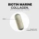 Codeage Biotin Marine Collagen+formula Completa Cu Colagen Marin Si Acid Hyaluronic, 120 Cps Codeage Biotin Marine Collagen+formula Completa Cu Colagen Marin Si Acid Hyaluronic, 120 Cps