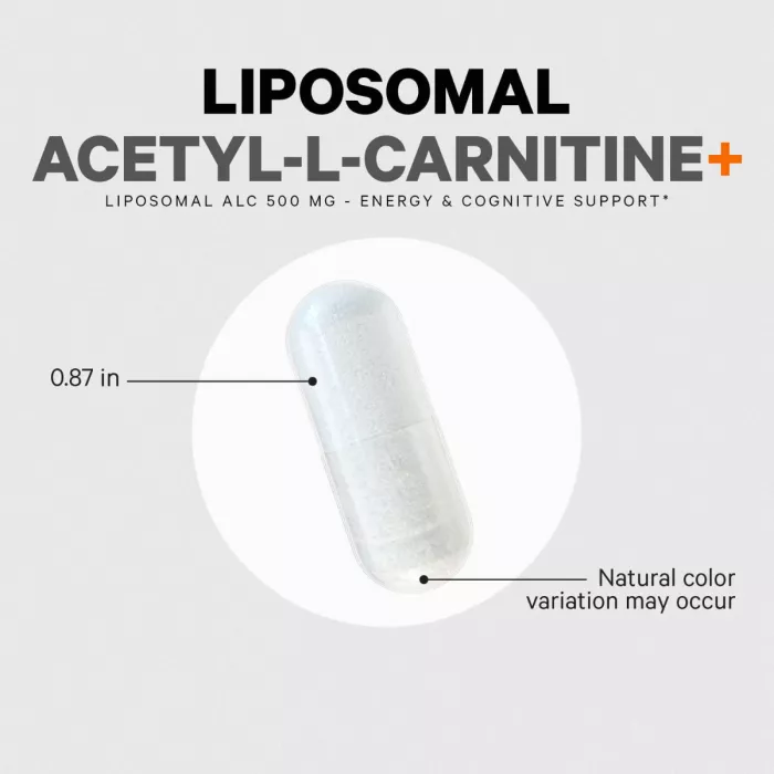 Codeage Liposomal Acetyl L-carnitine+, Formula Pentru Suport Cognitiv Si Vitalitate Zilnica, 90 Cps Codeage Liposomal Acetyl L-carnitine+, Formula Pentru Suport Cognitiv Si Vitalitate Zilnica, 90 Cps