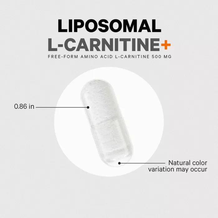 Codeage Liposomal L-carnitine+ , L-carnitina Lipozomala Pentru Energie Celulara Si Suport Metabolic, 90 Cps Codeage Liposomal L-carnitine+ , L-carnitina Lipozomala Pentru Energie Celulara Si Suport Metabolic, 90 Cps
