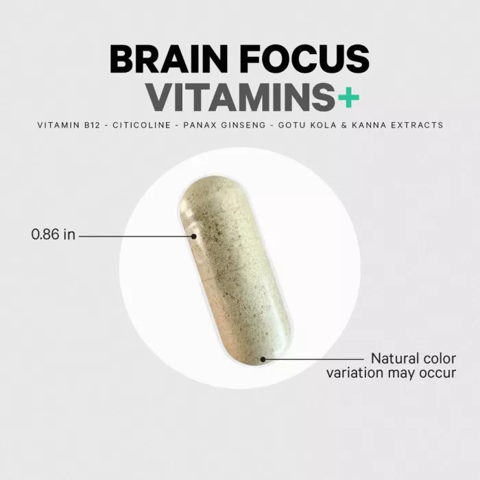 Codeage Brain Focus Multivitamin+, Suport Avansat Pentru Memorie, Concentrare Si Claritate Mentala, 60 Cps Codeage Brain Focus Multivitamin+, Suport Avansat Pentru Memorie, Concentrare Si Claritate Mentala, 60 Cps