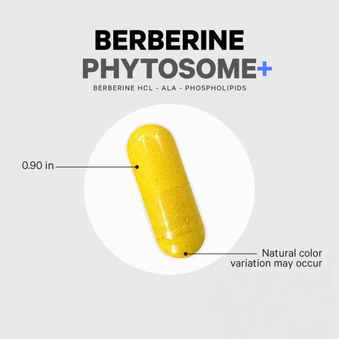 Codeage Berberine Phytosome,formula Pentru Echilibru Glicemic Si Sustinerea Metabolismului Cu Berberina, 60 Cps Codeage Berberine Phytosome,formula Pentru Echilibru Glicemic Si Sustinerea Metabolismului Cu Berberina, 60 Cps