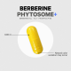 Codeage Berberine Phytosome,formula Pentru Echilibru Glicemic Si Sustinerea Metabolismului Cu Berberina, 60 Cps