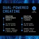 Gnc Beyond Raw Creatine Monophate, Formula Inovatoare Cu Creatina Monofosfat, Cu Aroma De Zmeura Albastra, 282 G