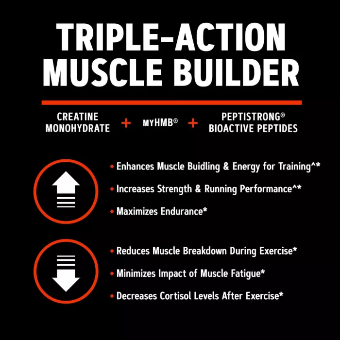Gnc Amp Creabolic, Formula Premium De Creatina Monohidrata, Hmb, Peptistrong Pentru Forta Si Masa Musculara, Cu Aroma De Fructe Tropicale, 408 G