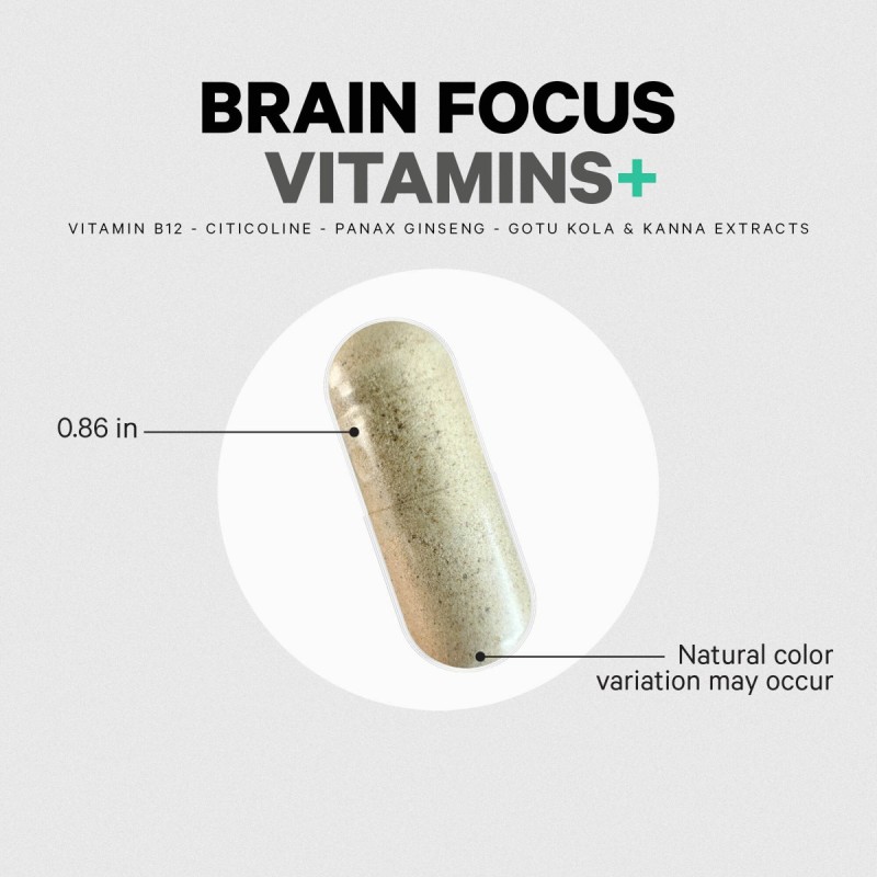 Codeage Brain Focus Multivitamin+, Suport Avansat Pentru Memorie, Concentrare Si Claritate Mentala, 60 Cps