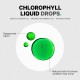 Codeage Chlorophyll Liquid Drops, Clorofila Lichida Cu Aroma De Menta, 60 Ml