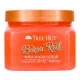 Tree Hut Shea Sugar Scrub Bikini Reef, 510 G Tree Hut Shea Sugar Scrub Bikini Reef, 510 G