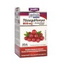 Extract de Merisor si splinuta (60 capsule), JutaVit