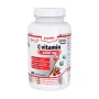 Vitamina C 1000 mg Retard cu Extract de Macese +D3 + Zinc (100 tablete), JutaVit