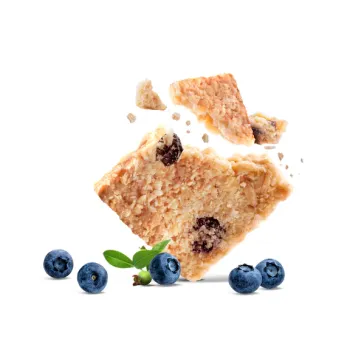 Cookies din ovaz cu afine, raw, vegan, fara gluten, The Beginnings, 80g