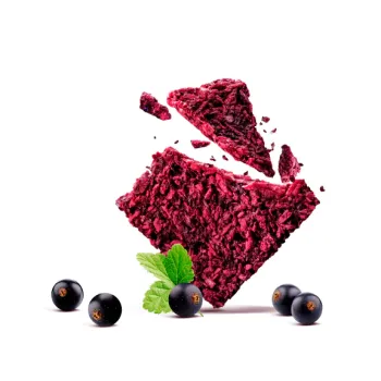Cookies RAW cu coacaze negre, vegan, fara gluten, The Begginings, 80 g