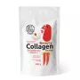 Beauty Colagen Shake cu capsuni 200g