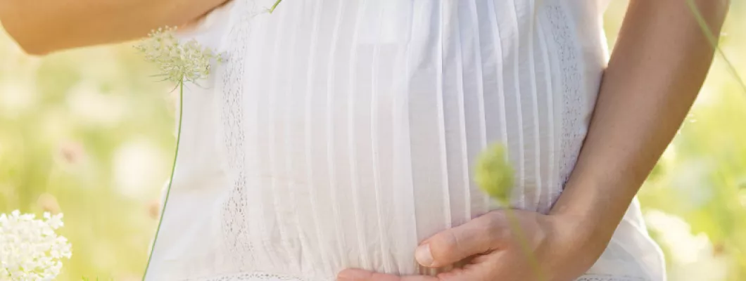 Inozitolul și acidul folic pentru fertilitate Inozitolul și acidul folic pentru fertilitate