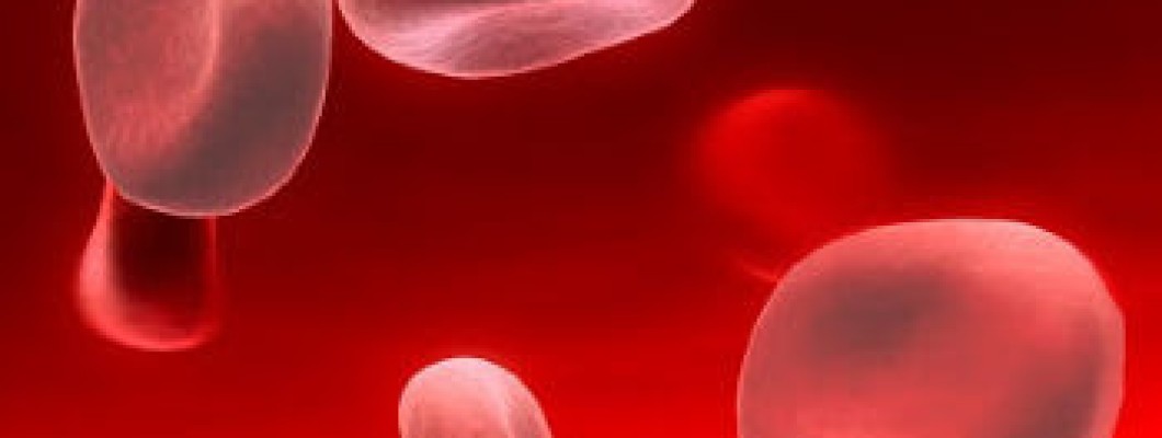 Fierul - nutrientul esential care ajuta la reducerea oboselii si intarirea sistemului imunitar Fierul - nutrientul esential care ajuta la reducerea oboselii si intarirea sistemului imunitar