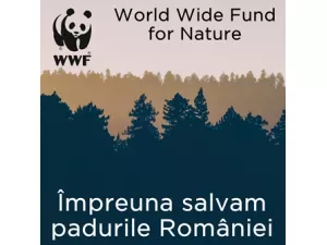 Împreună salvăm pădurile României