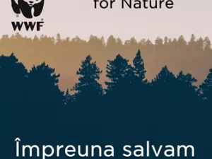 Împreună salvăm pădurile României