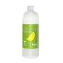 Detergent ecologic pentru spalat vase (1 litru), Biolu