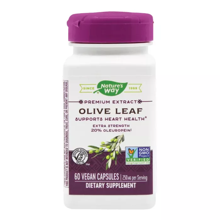 Olive Leaf 20% SE (60 capsule) Olive Leaf 20% SE (60 capsule)