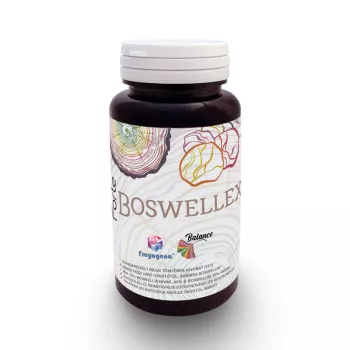 Forte Boswellex Freyagena (60 capsule), NutriBalance