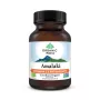 Amalaki - Vitamina C si antioxidanti naturali (60 capsule), Organic India