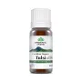 Ulei Esential Tulsi - busuioc sfant (10 ml), Organic India