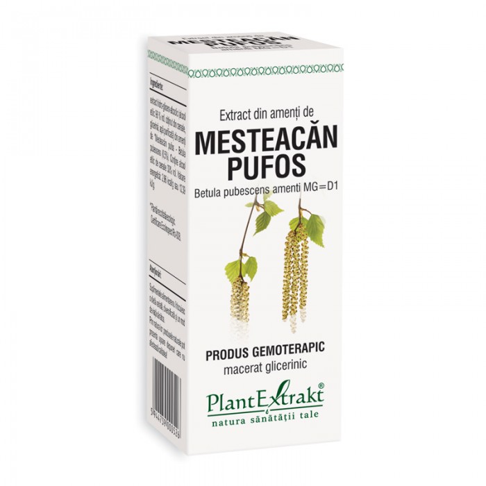 Extract din amenti de mesteacan pufos - Betula Pubescens MG=D1 (50 ml), Plantextrakt Extract din amenti de mesteacan pufos - Betula Pubescens MG=D1 (50 ml), Plantextrakt