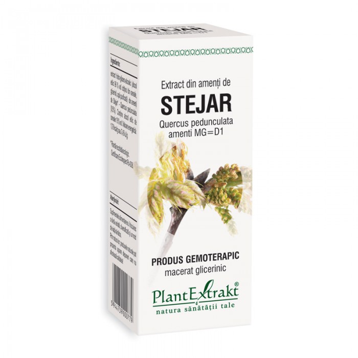 Extract din amenti de stejar - Quercus Pedunculata Amenti MG=D1 (50 ml), Plantextrakt Extract din amenti de stejar - Quercus Pedunculata Amenti MG=D1 (50 ml), Plantextrakt