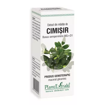 Extract din mladite de cimisir - Buxus Sempervirens MG=D1 (50 ml), Plantextrakt Extract din mladite de cimisir - Buxus Sempervirens MG=D1 (50 ml), Plantextrakt