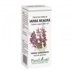 magnolia pierdere în greutate