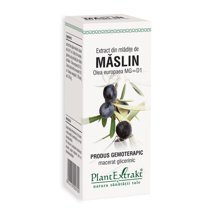 Extract din mladite de maslin - Olea Europaea (50 ml), Plantextrakt Extract din mladite de maslin - Olea Europaea (50 ml), Plantextrakt