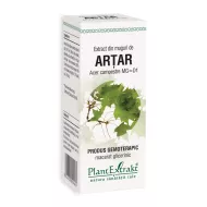 Extract din muguri de artar - Acer Campestre MG=D1 (50 ml), Plantextrakt