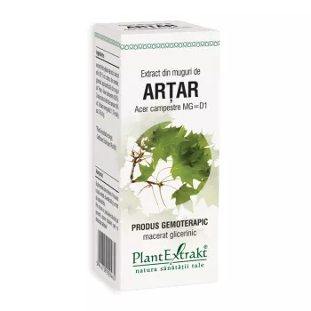Extract din muguri de artar - Acer Campestre MG=D1 (50 ml), Plantextrakt Extract din muguri de artar - Acer Campestre MG=D1 (50 ml), Plantextrakt