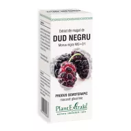Extract din muguri de dud negru - Morus Nigra MG=D1 (50 ml), Plantextrakt