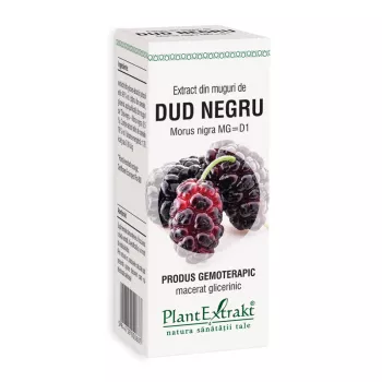 Extract din muguri de dud negru - Morus Nigra MG=D1 (50 ml), Plantextrakt Extract din muguri de dud negru - Morus Nigra MG=D1 (50 ml), Plantextrakt
