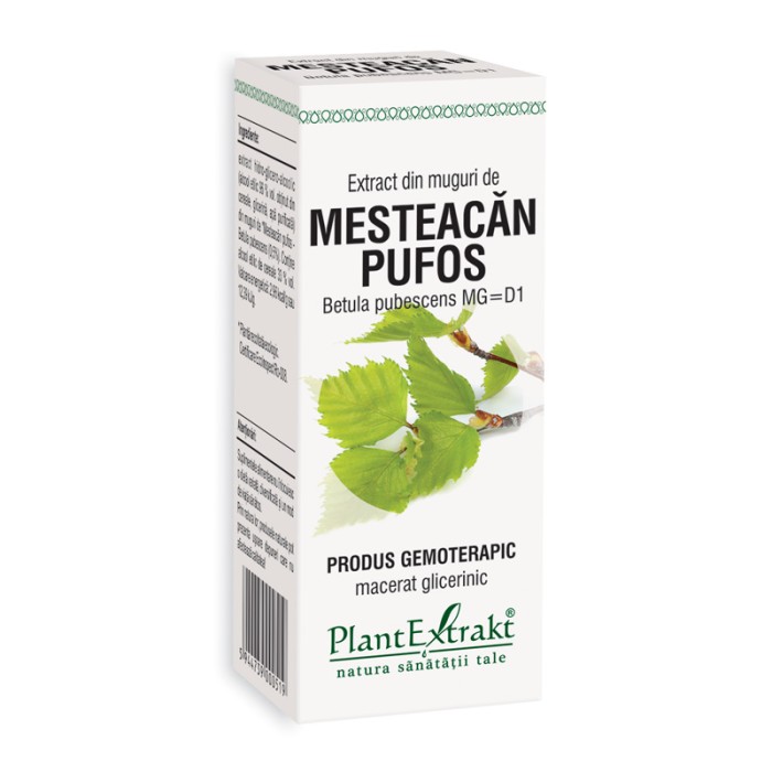 Extract din muguri de mesteacan pufos - Betula Pubescens (50 ml), Plantextrakt Extract din muguri de mesteacan pufos - Betula Pubescens (50 ml), Plantextrakt