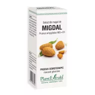 Extract din muguri de migdal - Prunus Amygdalus MG=D1 (50 ml), Plantextrakt