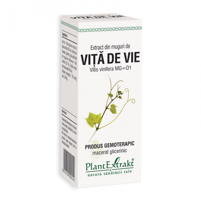 Extract din muguri de vita de vie - Vitis Vinifera (50 ml), Plantextrakt Extract din muguri de vita de vie - Vitis Vinifera (50 ml), Plantextrakt