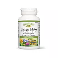 Ginkgo biloba Forte 60 mg (120 capsule), Natural Factors